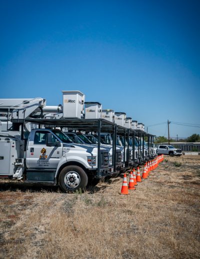 Ace tree enterprise trucks roseville folsom