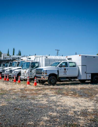 Full tree removal in roseville, ca