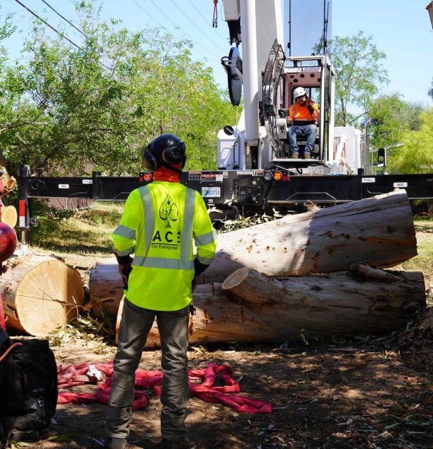 0f143e196c3eebac50305626e87711887e8ae166 (1) (1)