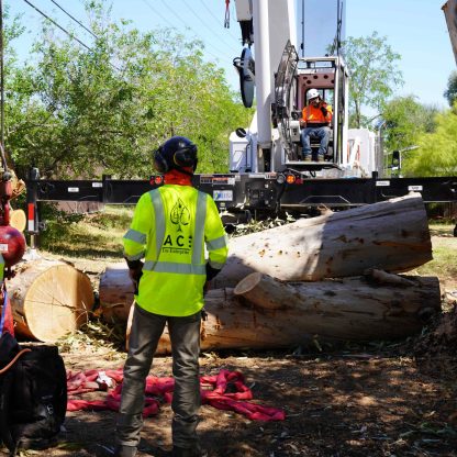 0f143e196c3eebac50305626e87711887e8ae166 (1) (2)