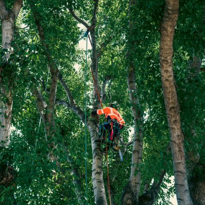 559f4719ab9754d69d62f860f90a5c567903a86d