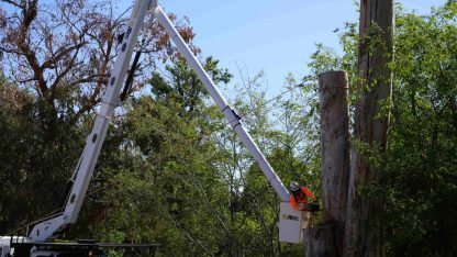 cff4fbb4f110730e4a50a04435683bfc14c6bb8e (1) (1)