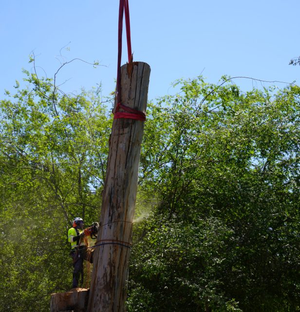 ff39a9d345727fa4591024696a75f00403b7b236